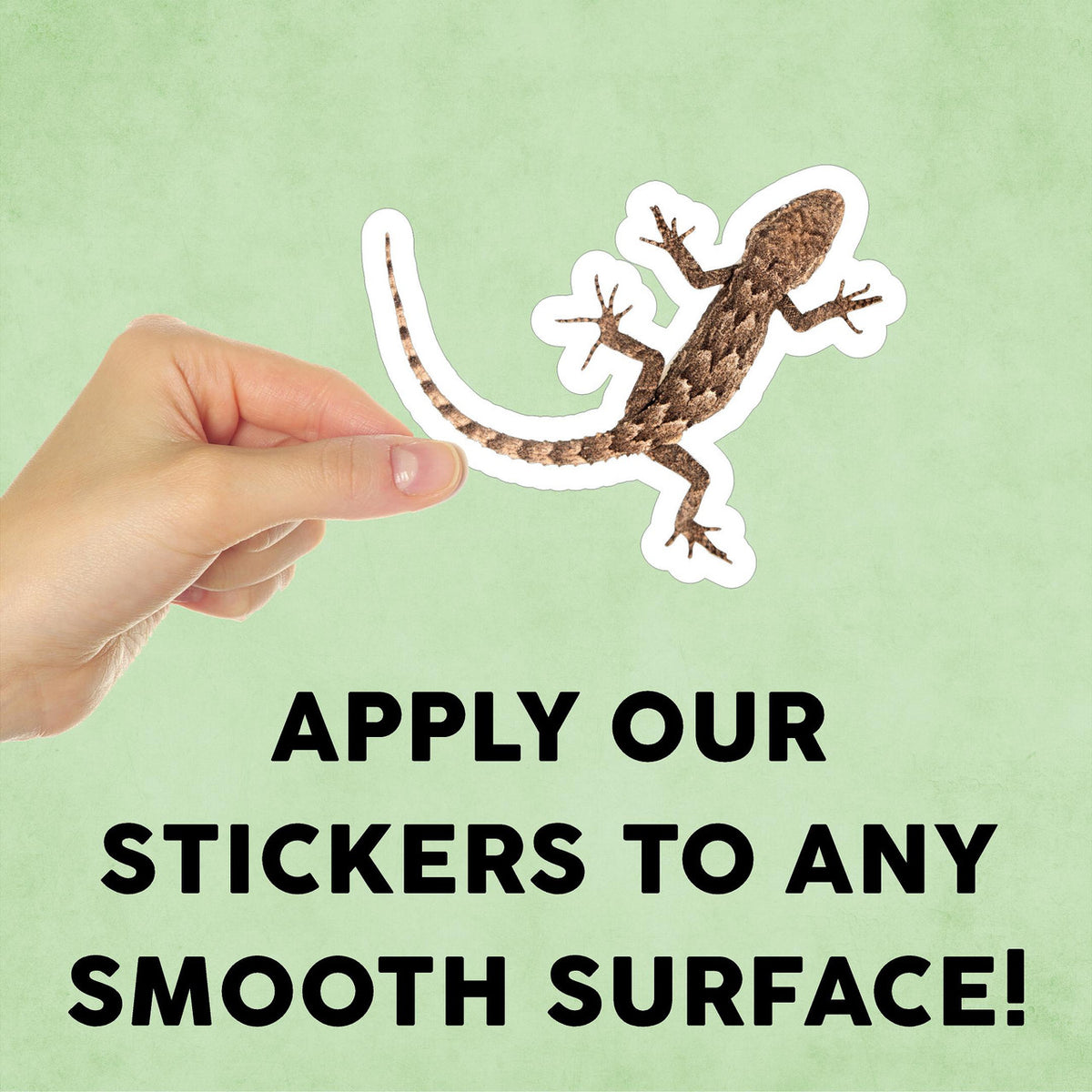 Lizard Mini Sticker