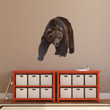 Grizzly Bear Printed Wall Decal