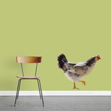 Real Life Chicken Printed Wall Decal 24" wide x 20" tall Sample Image