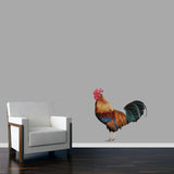 Real Life Rooster Printed Wall Decal 24" wide x 24" tall Sample Image
