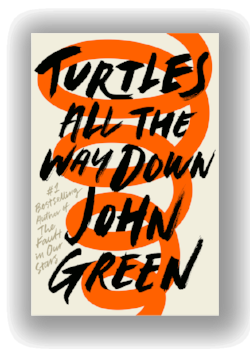 Book, Turtles All the Way Down